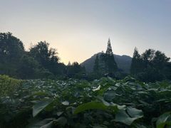 -青城山六善酒店·紫氣園中餐厅