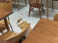 大堂-肥朵食堂(带梦胡同店)