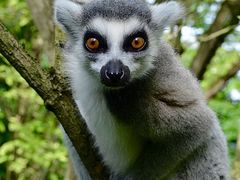 -云南野生动物园