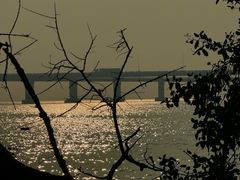 -宝安西湾红树林湿地公园