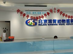 -北京观赏动物医院·24小时大型综合·猫专科·异宠专科
