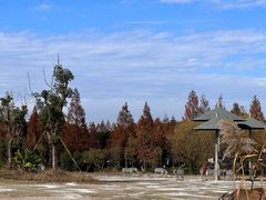 -宁波野生动物园