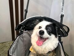 -西山人家·二十年老字号农家菜(旺山店)