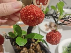 -椿记烧鹅(叠彩店)