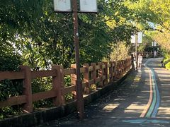 -杭州半山国家森林公园