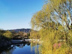 -北京西山国家森林公园