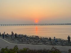 -宝安西湾红树林湿地公园