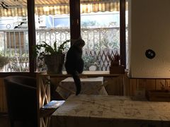 -隅cafe(傅厚岗店)
