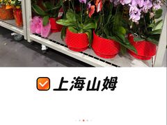 -山姆会员商店(亦庄创意生活广场店)