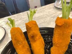 -丁老爷子苏香圆
