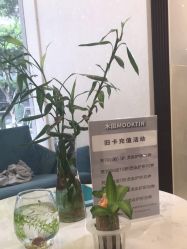 点击看大图 -菲·木田moontin造型salon