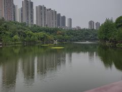 -重庆彩云湖湿地公园
