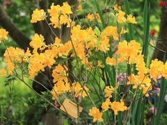 -上海滨江森林公园