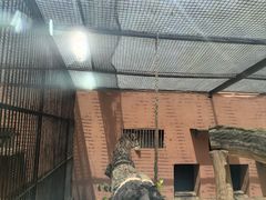-青藏高原野生动物园