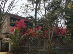 -东寨港红树林旅游区