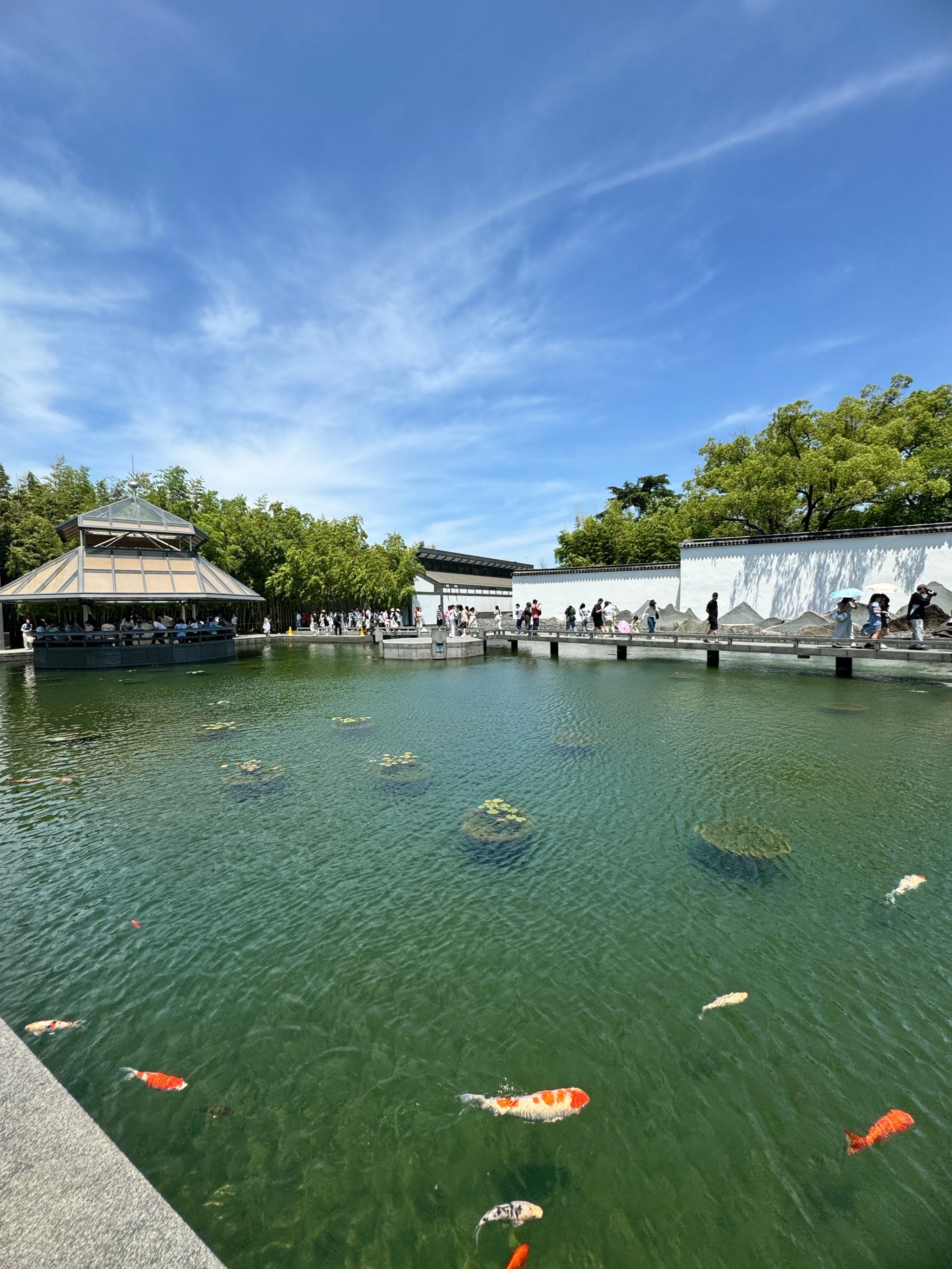 第一次来苏州,苏州美女真多!