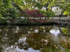 -秋霞圃