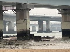-海堤纪念公园