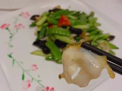 -千灯盛汇·头牌粤菜(致越优城店)