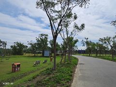 -上海长兴岛郊野公园