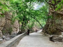 -北京上方山国家森林公园