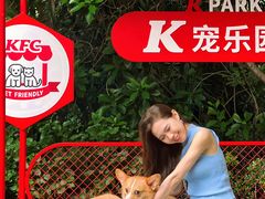 -白云宾馆·白云宴餐厅