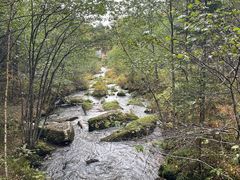 -汤旺河林海奇石景区