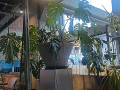 -一尺花园(首钢店)