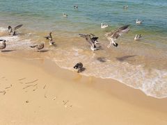 -海驴岛(荣成市)