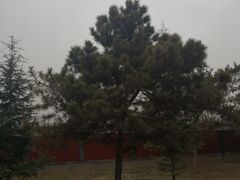 -茂陵博物馆
