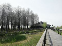 -苏州太湖国家湿地公园