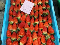 -西郊国际农产品交易中心