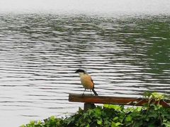 -云漫湖生态度假公园