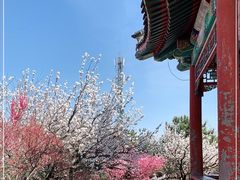 -香山公园