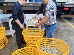 -海峡水产品交易中心(海鲜交易区)