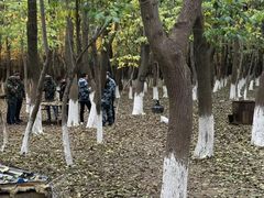 -亲兄弟真人CS团建拓展基地