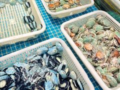 -驻海渔市(置信店)