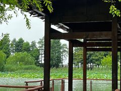 -贡湖湾湿地公园