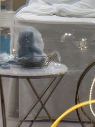 -智美品质医美