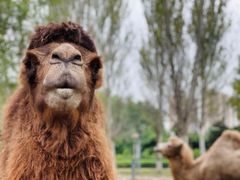 -夫妻串店(和睦路店)