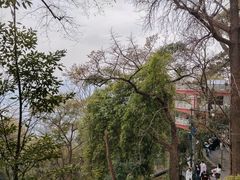 -道教老君洞