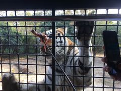 -深圳野生动物园