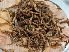 美极山坑鱼-大欢喜饭店(江怡路店)