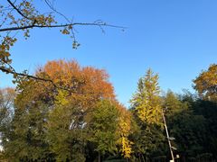 -新虹桥中心花园