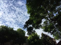 教学楼-上海市位育初级中学