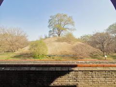 -北陵公园