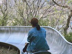 -富斯特索道