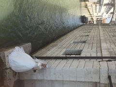 叹息桥-叹息桥