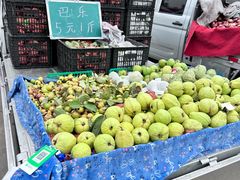 -南坛综合农贸市场