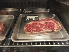 -1981牛排西餐厅(海信店)